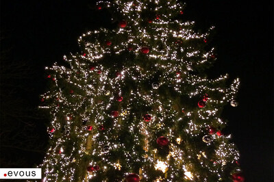 Weihnachtsmärkte in Bern 2023